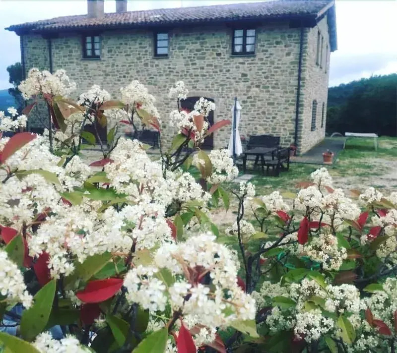 Agriturismo SantAngelo