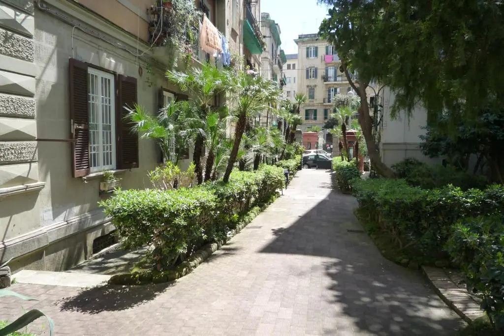 Casa Roger