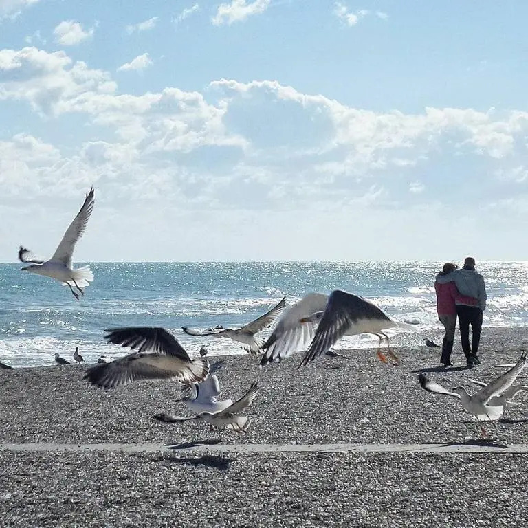 Soffio Di Mare