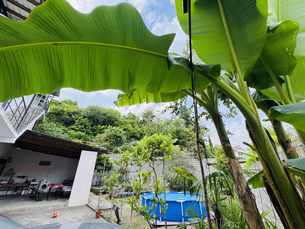 Guest house Almari