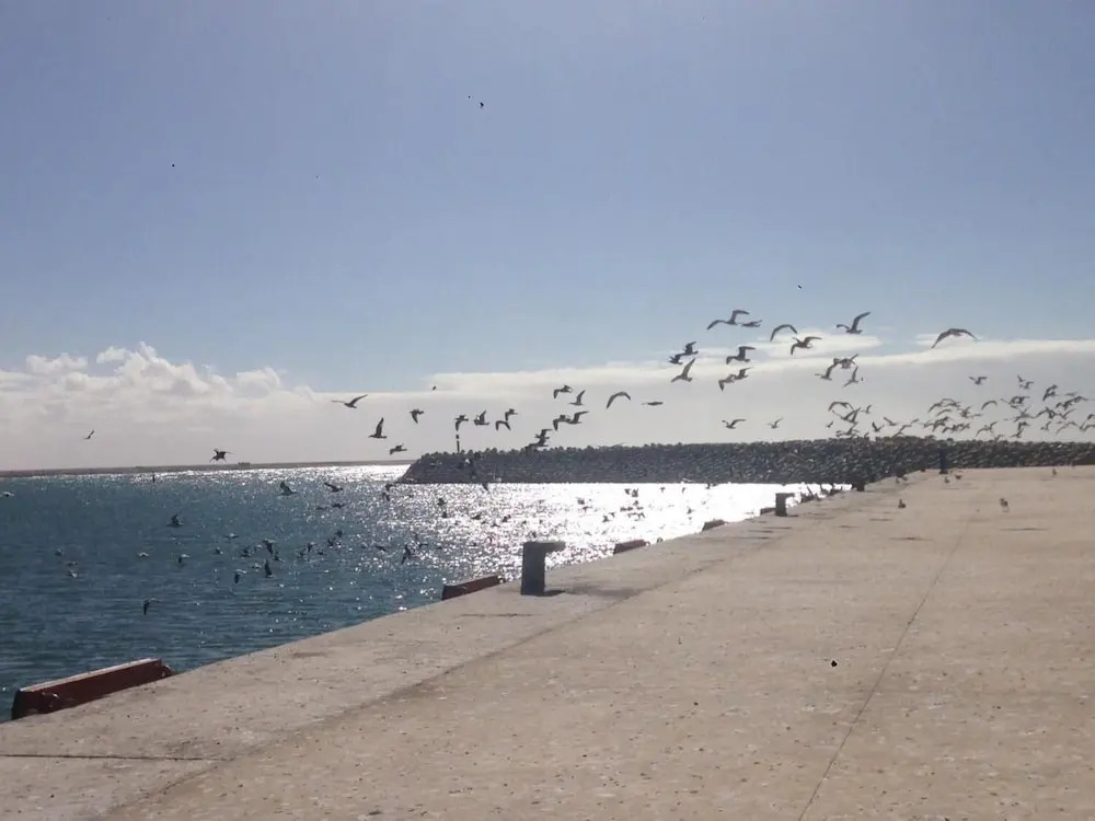 Hotel El ghazi