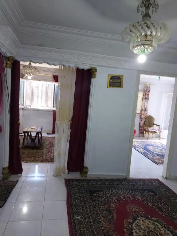 شقه بالعصافره بحرى