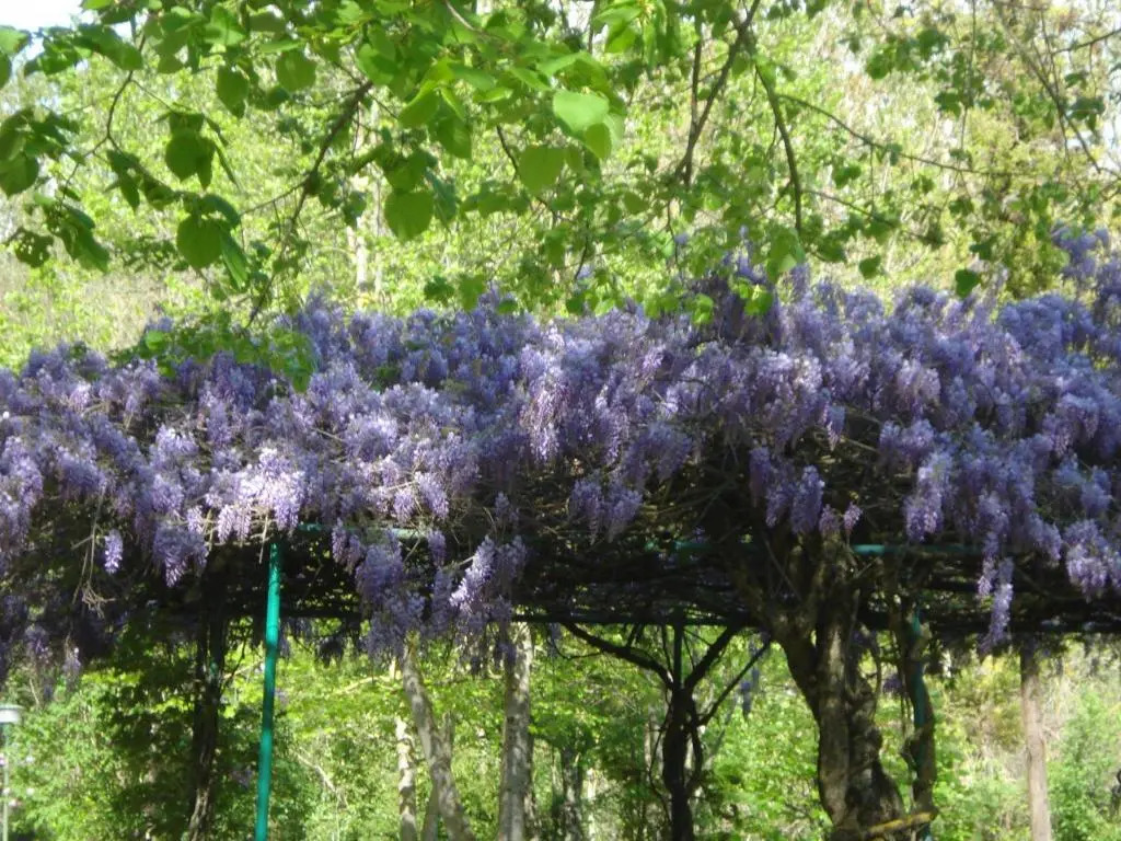 Rio Verde camping villaggio