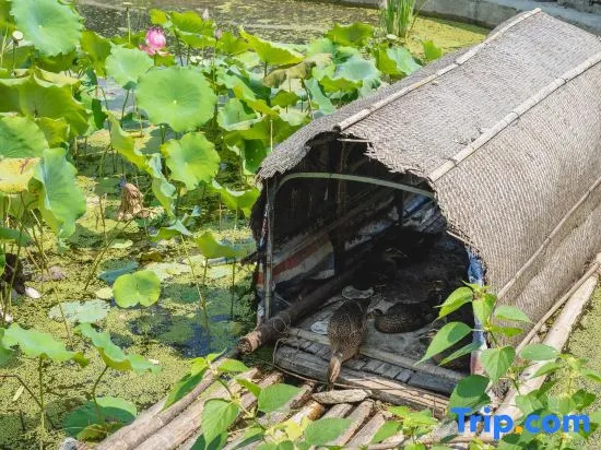 Xidi·Double courtyard Han House (Xidi Scenic Area)