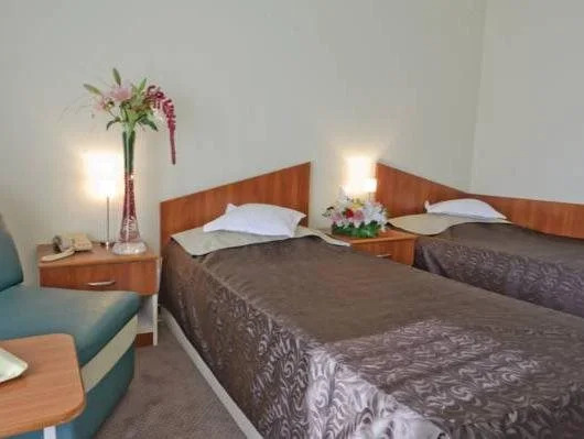 Hotel Bradul