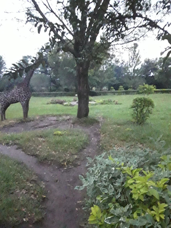 Mbara Safari Lodge and Resort