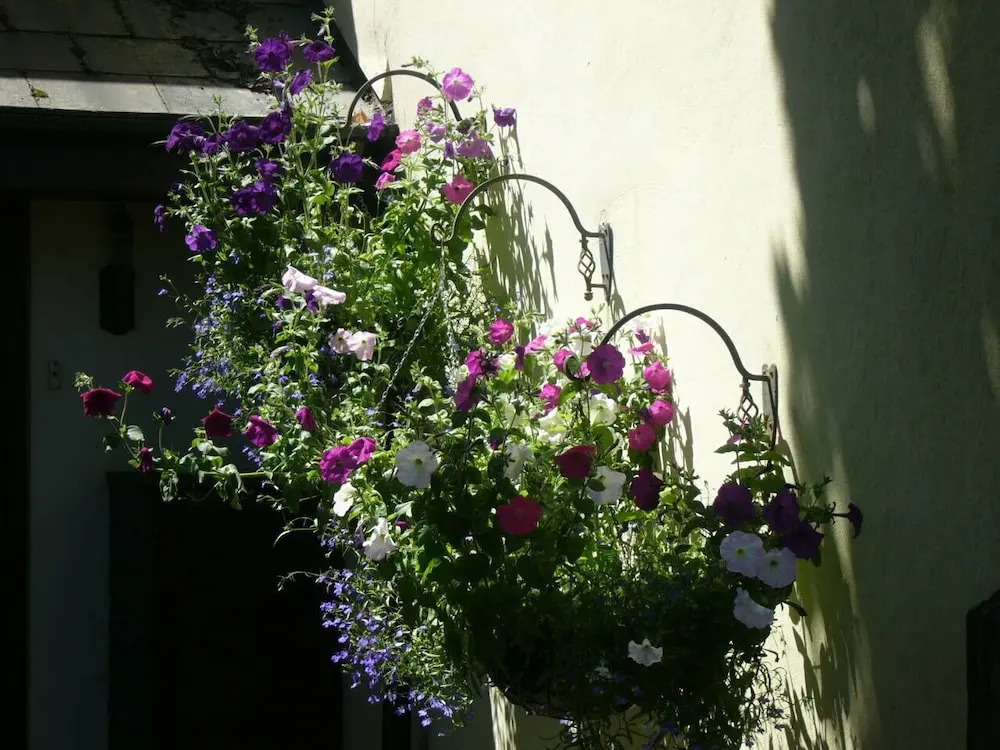 Southdown B&B