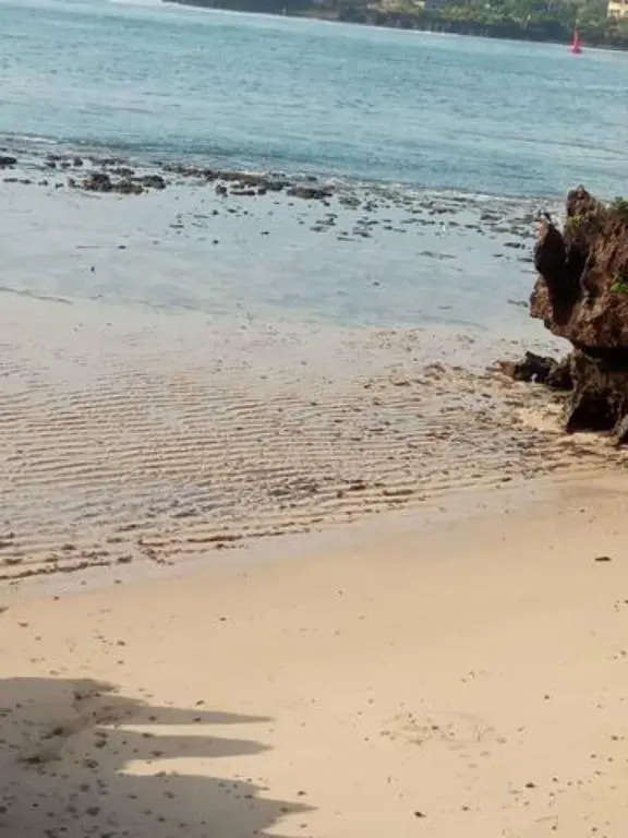 Casa 1895 - Peaceful, Secure and Serene Guesthouse in Mombasa