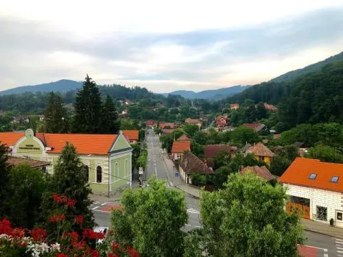 Vila Ursul Negru