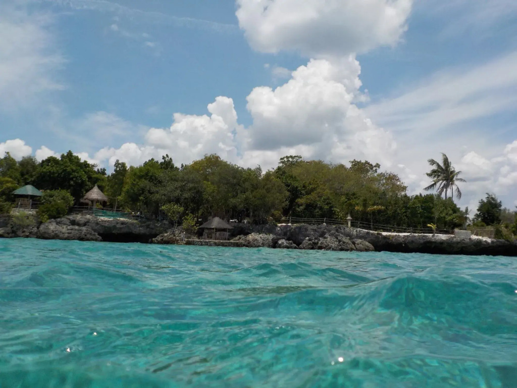 Sea Turtle House Moalboal