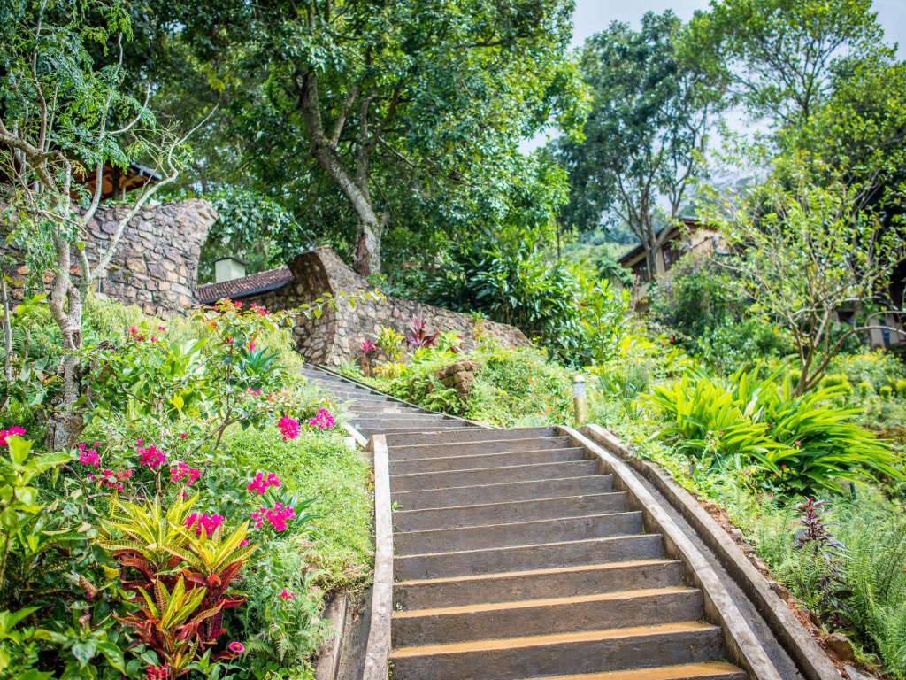 Yasmin Hill Longevity Oasis