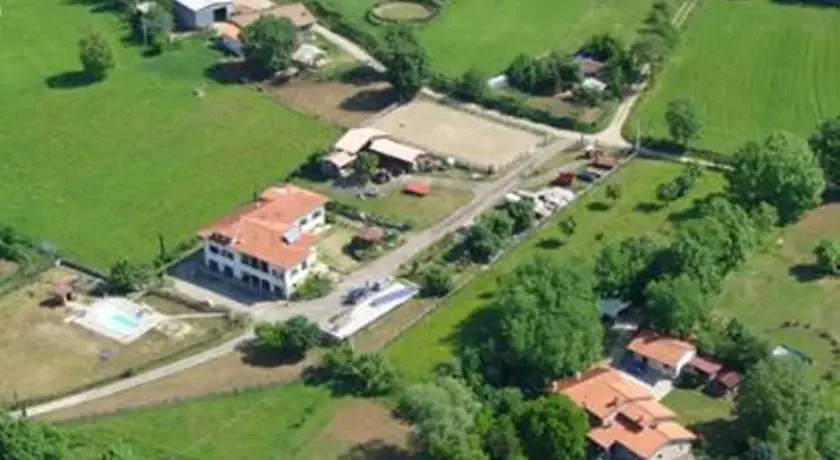 Noce