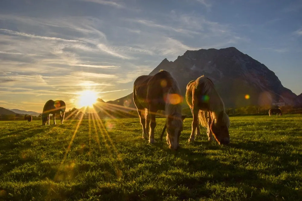 Schachneralm