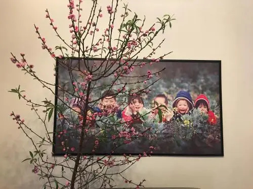 14/32 PHố SơN TaY, BA ĐìNH, Hà NộI