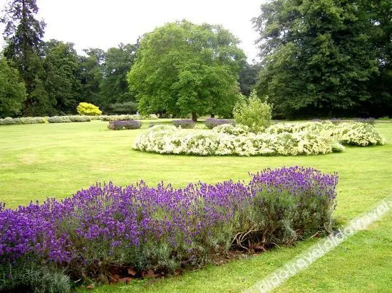 Thornham Hall