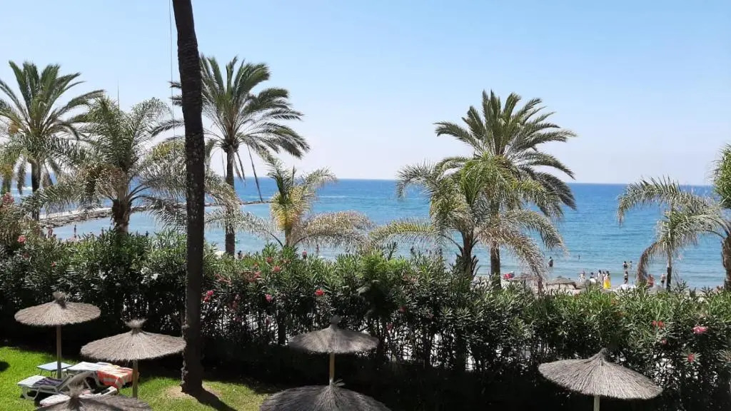 Skol 134C by Completely Marbella