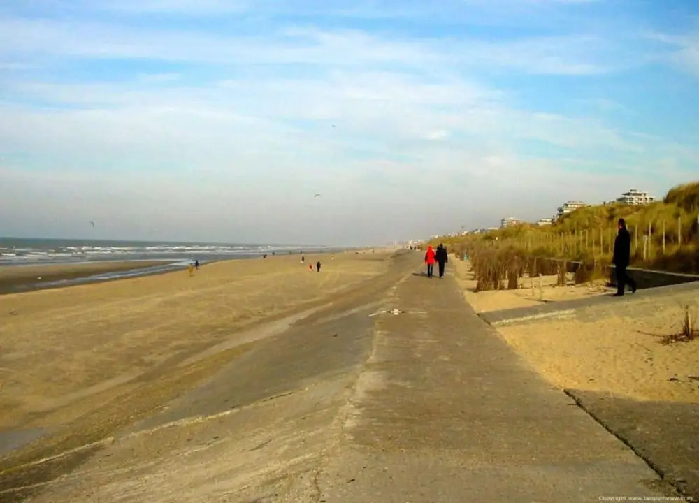 Luxbeach Apartment in Blankenberge