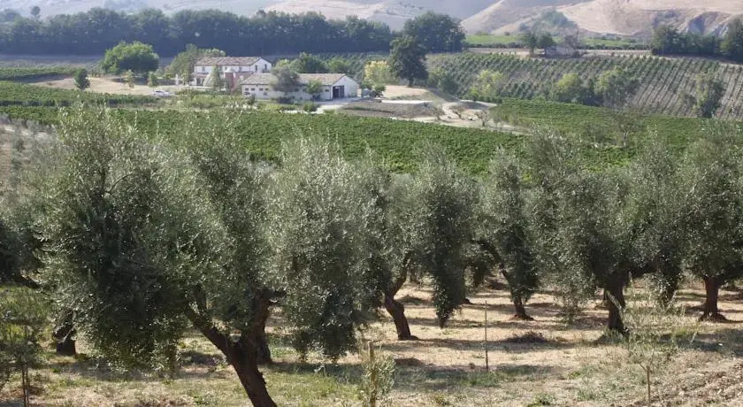 Terre di Varano