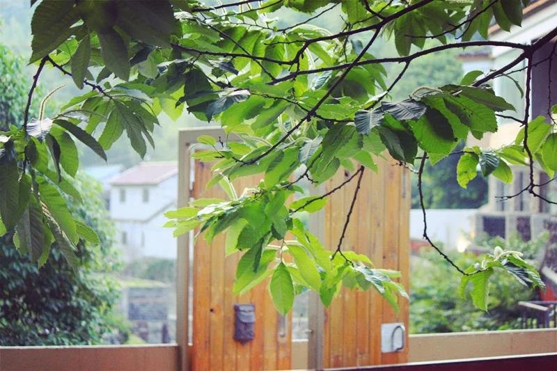Wushan Hostel