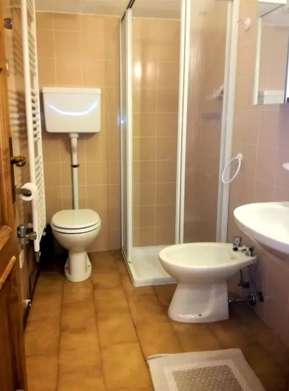 Lovely Attic-Studio near Bormio