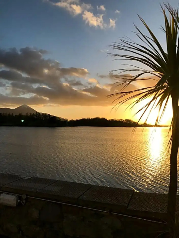 The Quays