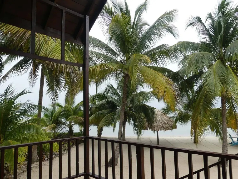 Green Parrot Beach Houses and Resort