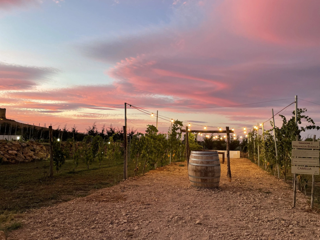 De Mare Wine Resort