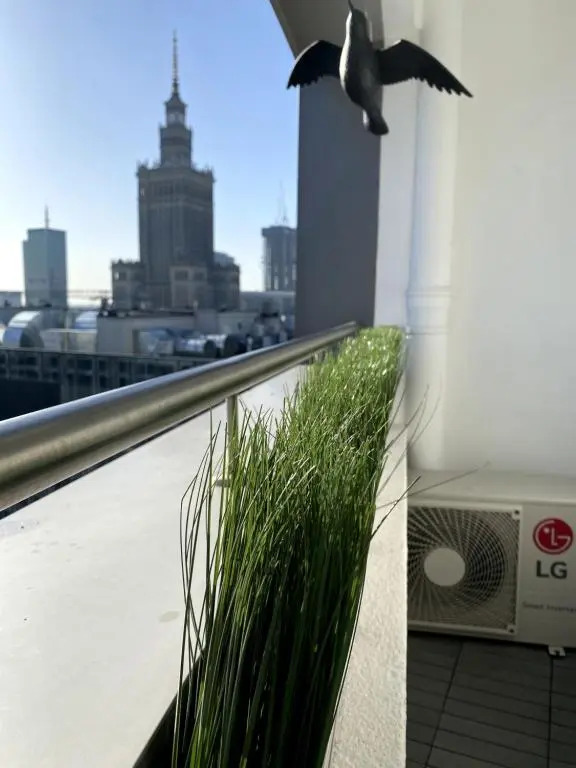 Leo Apartment