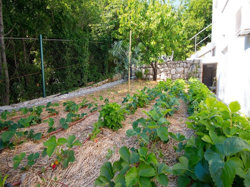 Organic Gardens Villa