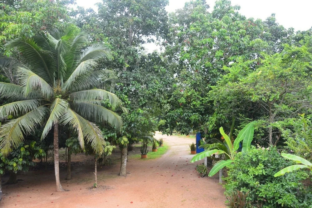 Phetthongtan Garden