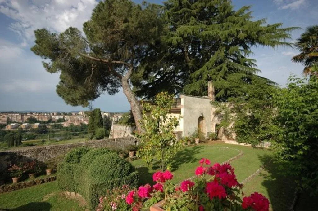 Le Camelie