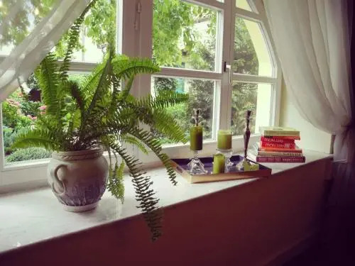 The Secret Garden Boutique B&B