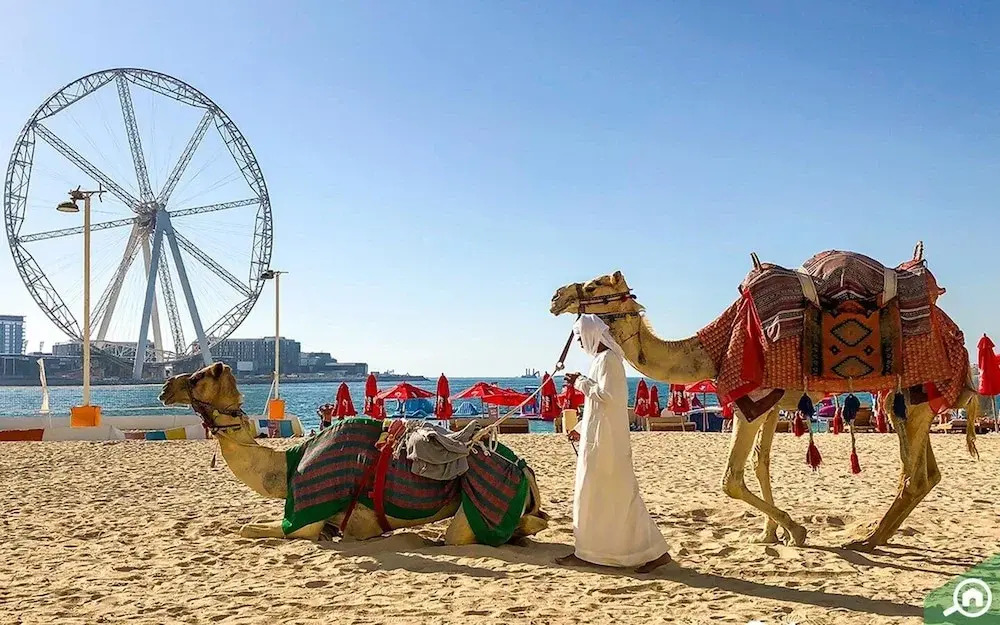 JBR apartments by HAPPY SEASON