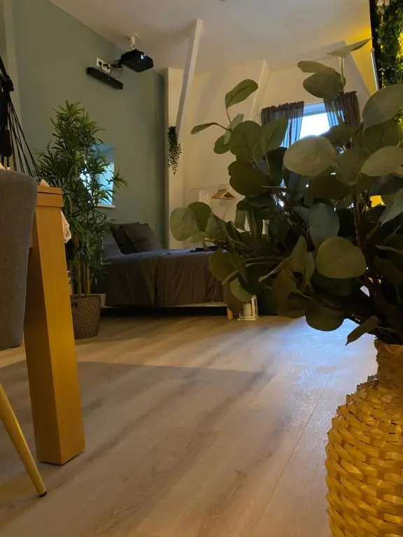 Zen - Roubaix-Lille - Balneo - Home Cinema - Billard
