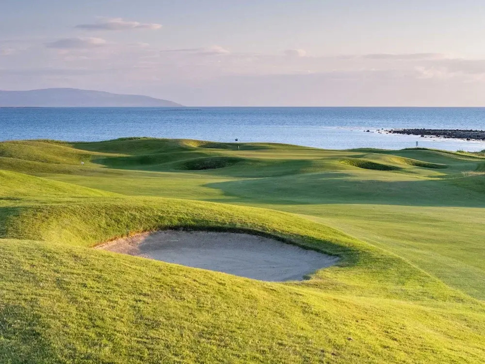 The Hawthorn by Galway Bay