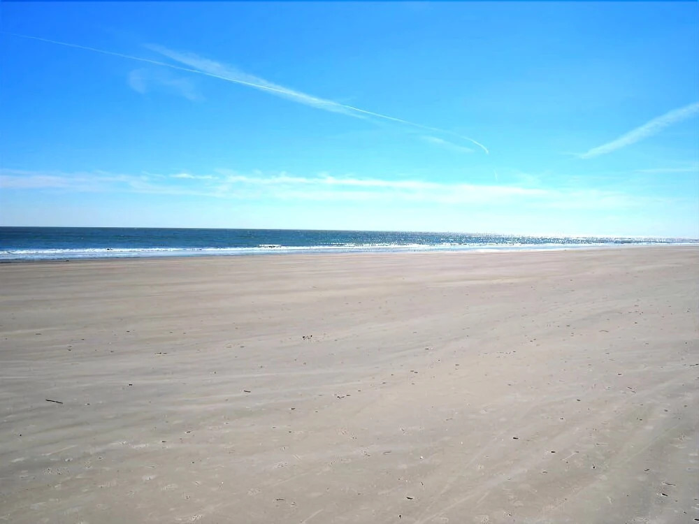 Palmetto Dunes by Beach Properties