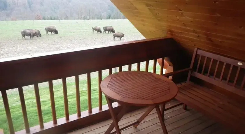 Ranch des bisons