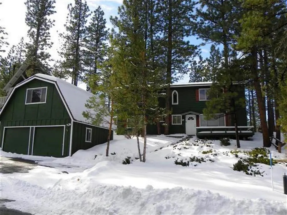 Forest Walk by Big Bear Cool Cabins