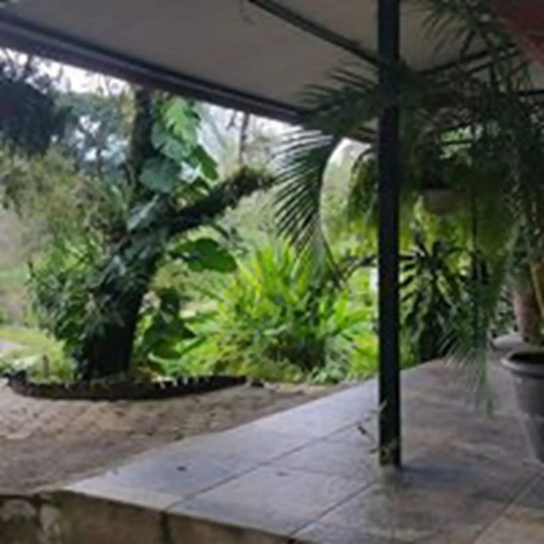 Los Susurros Casa Monkey Rescue and Rehabilitation Sanctuary
