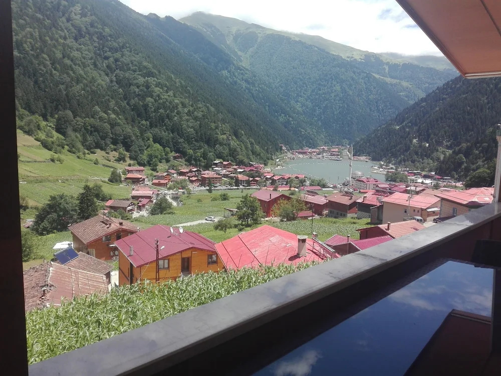 Kuzey Palace