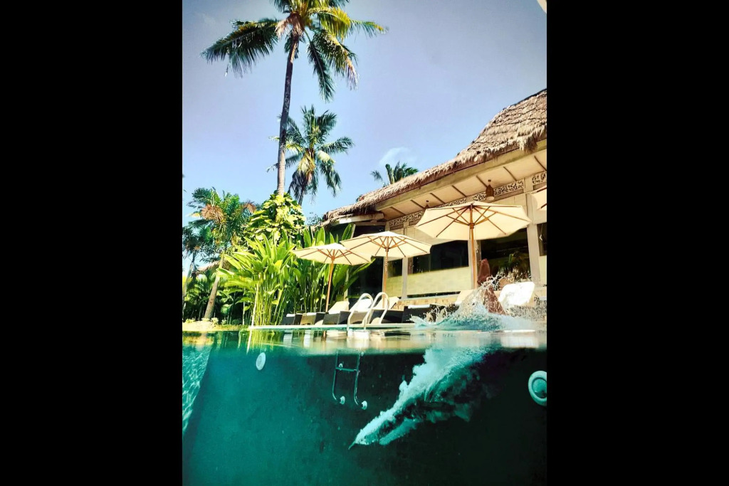 Rascals Hotel