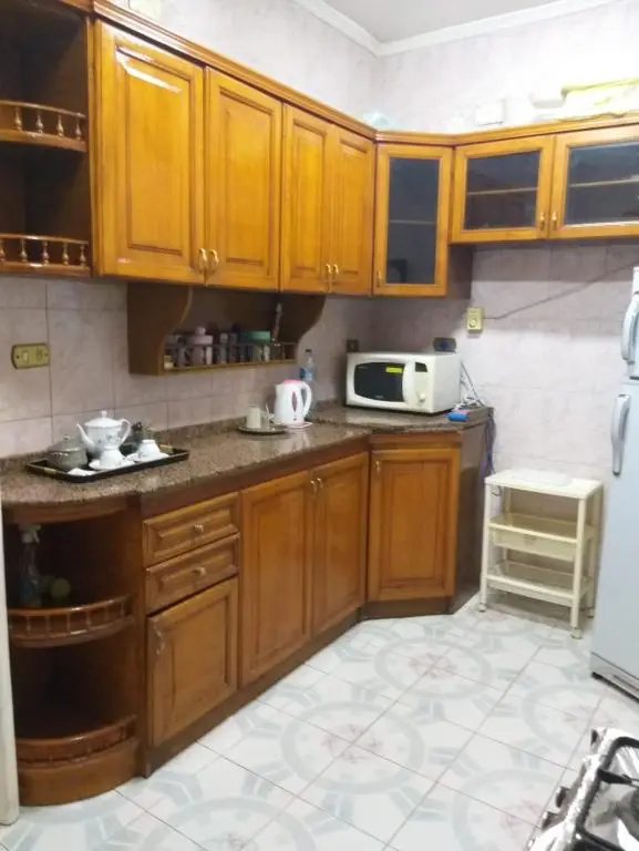 1 bedroom apartment in the heart of Cairo , just 15 minutes from the airport