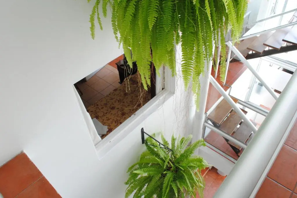 Hotel Romi