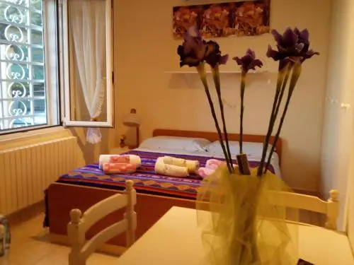 B & B Sachawasi