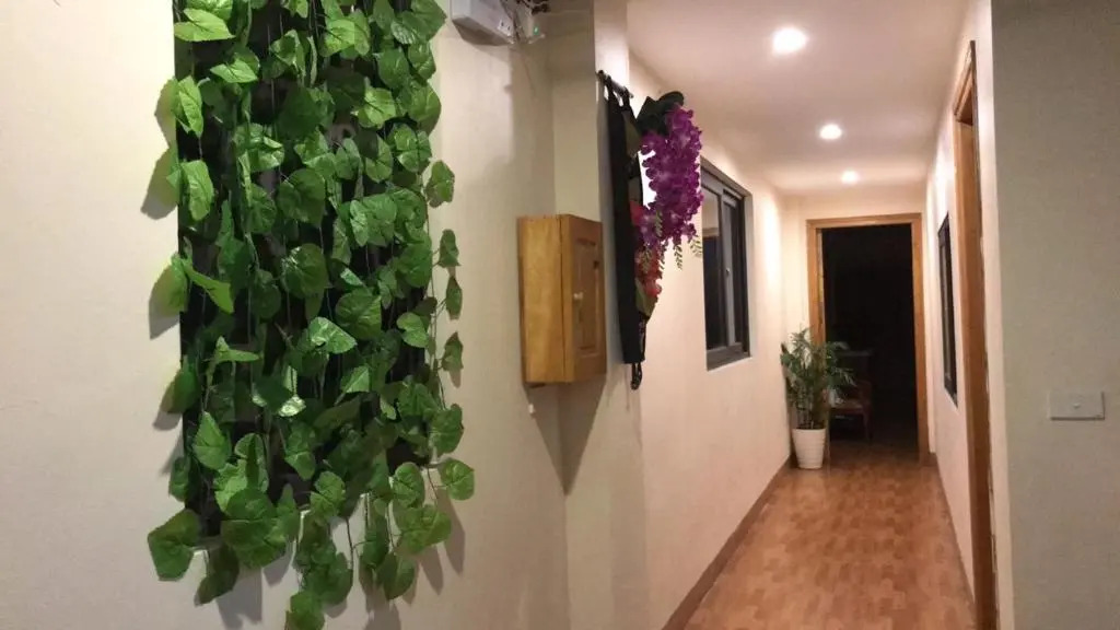 Misty Hostel Sapa