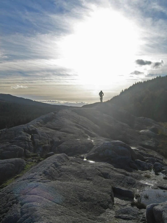The Haven