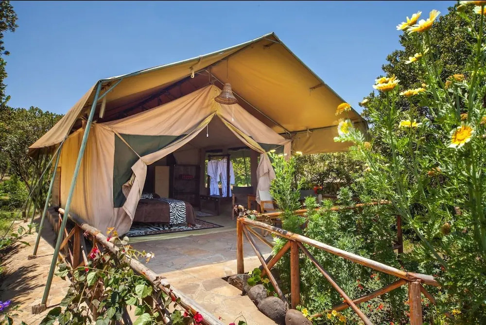 Rhino Watch safari Lodge