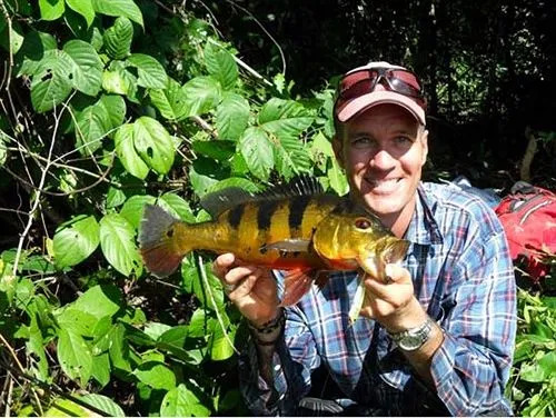 Ecological Jungle Trips & Amazon Lodge