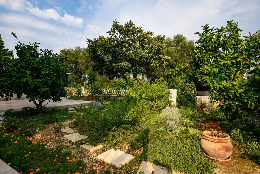 Apartments Trstenica
