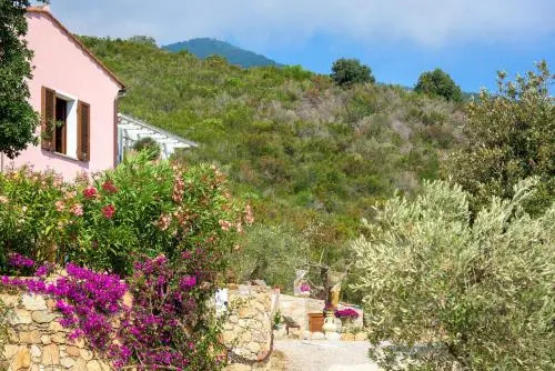 Appartamento Salvia